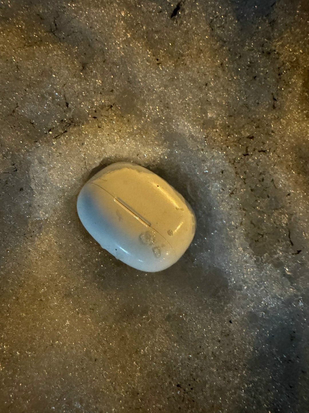 Найдена собака в Лобне — фото объявления