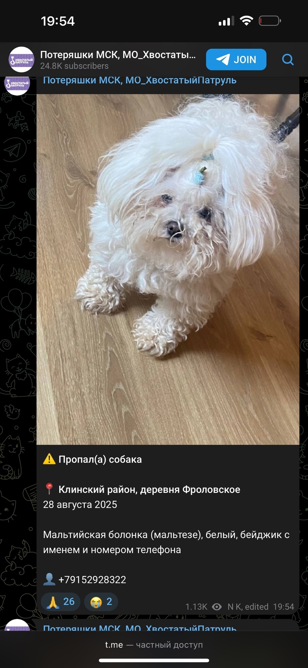 Пропала собака в Клине — фото объявления