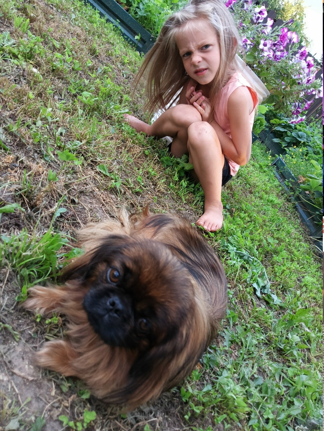 Пропала собака в Клине — фото объявления