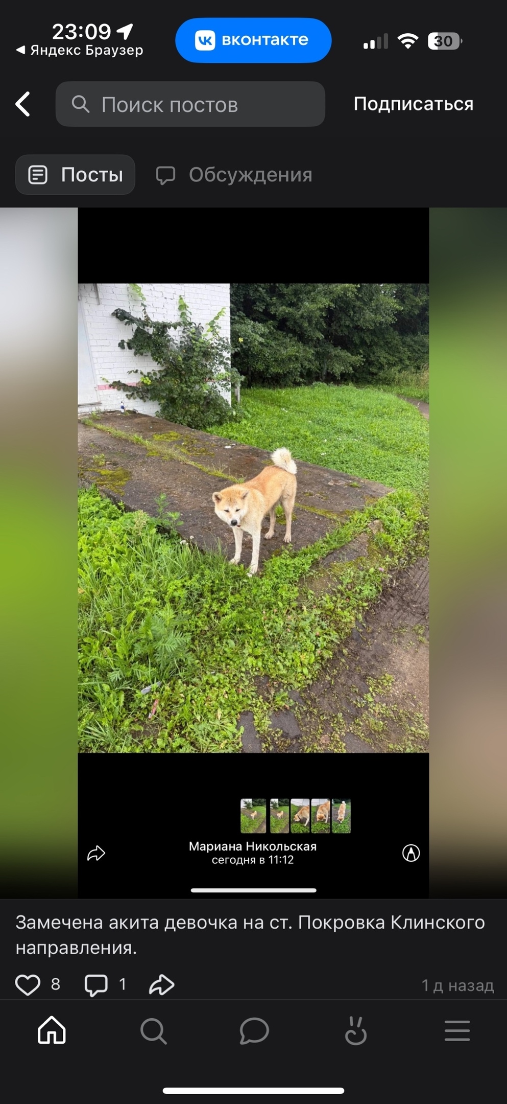 Пропала собака в Клине — фото объявления