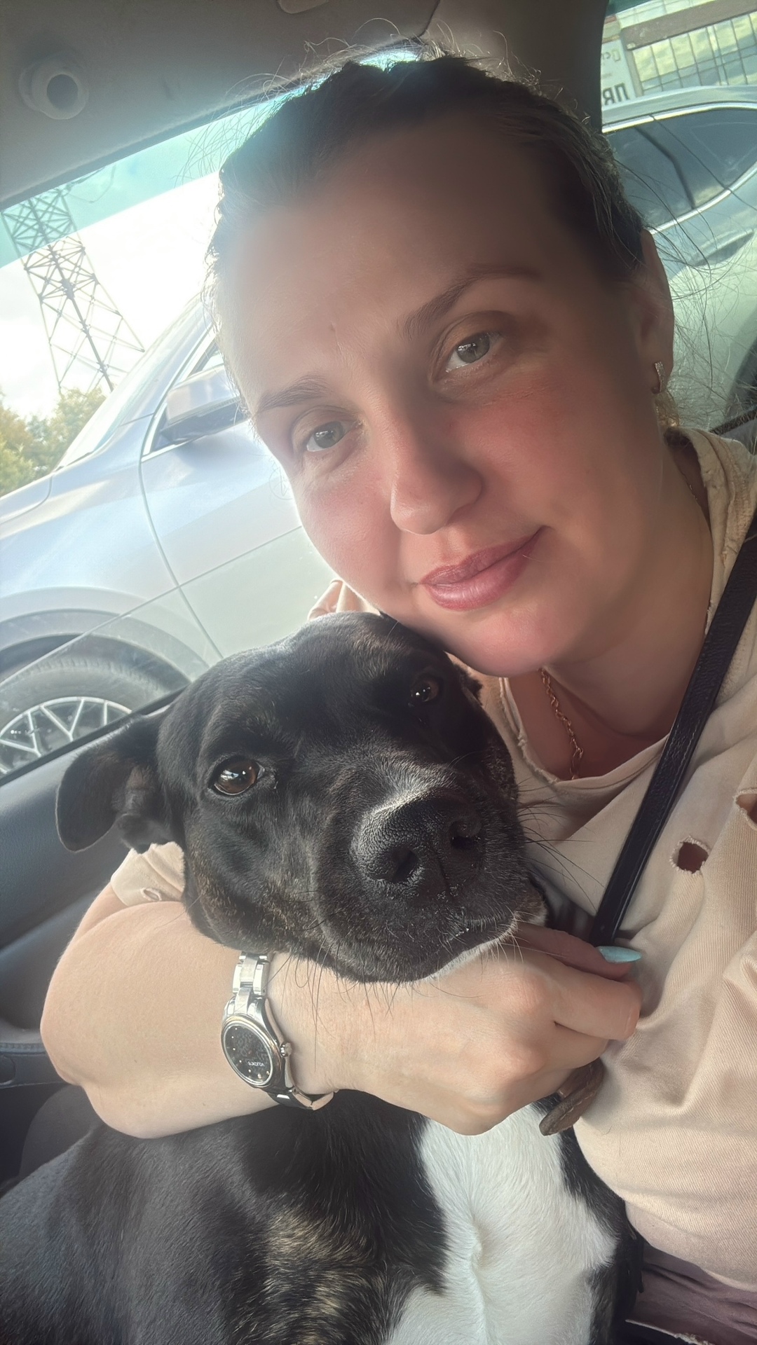 Пропала собака в Сургуте — фото объявления