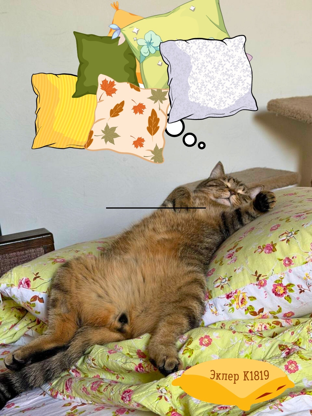 Найдена кошка в Сургуте — фото объявления