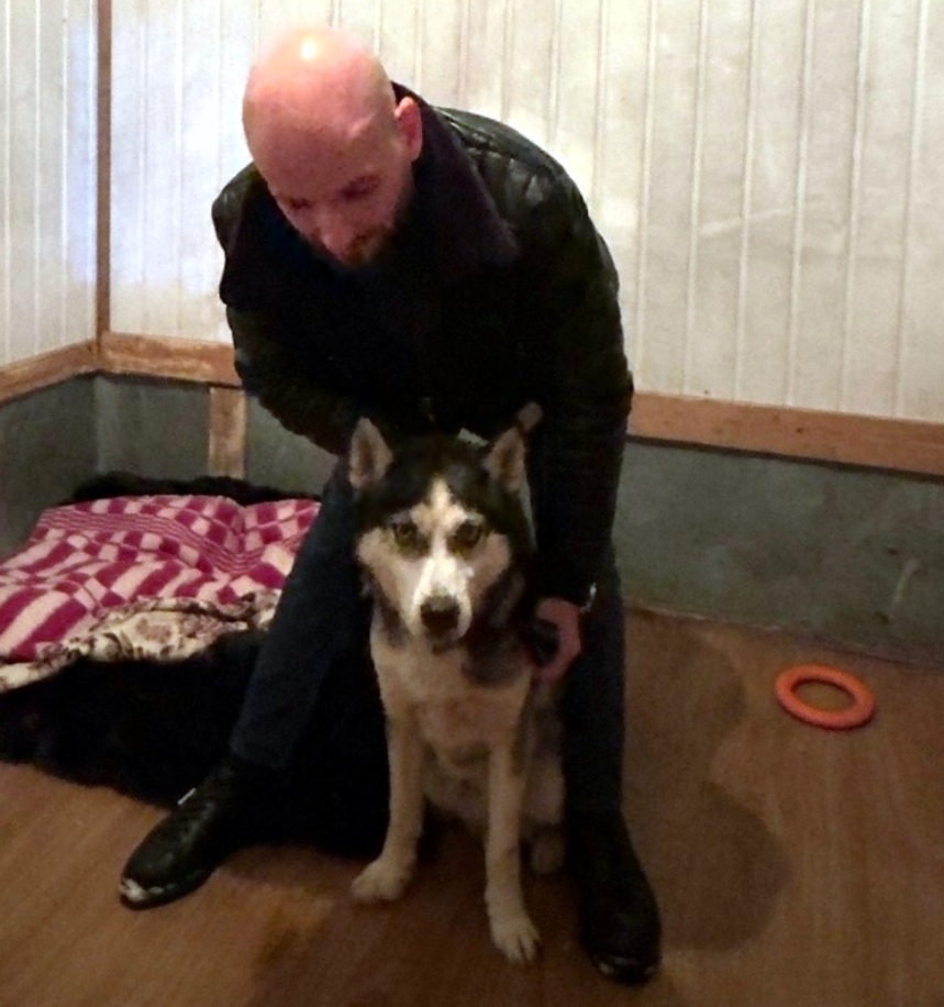 Найдена собака в Обнинске — фото объявления