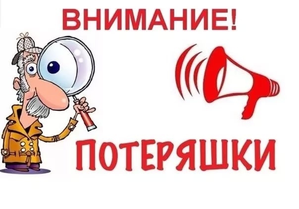 Пропала собака в Обнинске — фото объявления