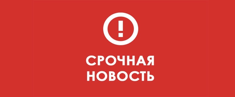 Найдена собака в Солнечногорске — фото объявления