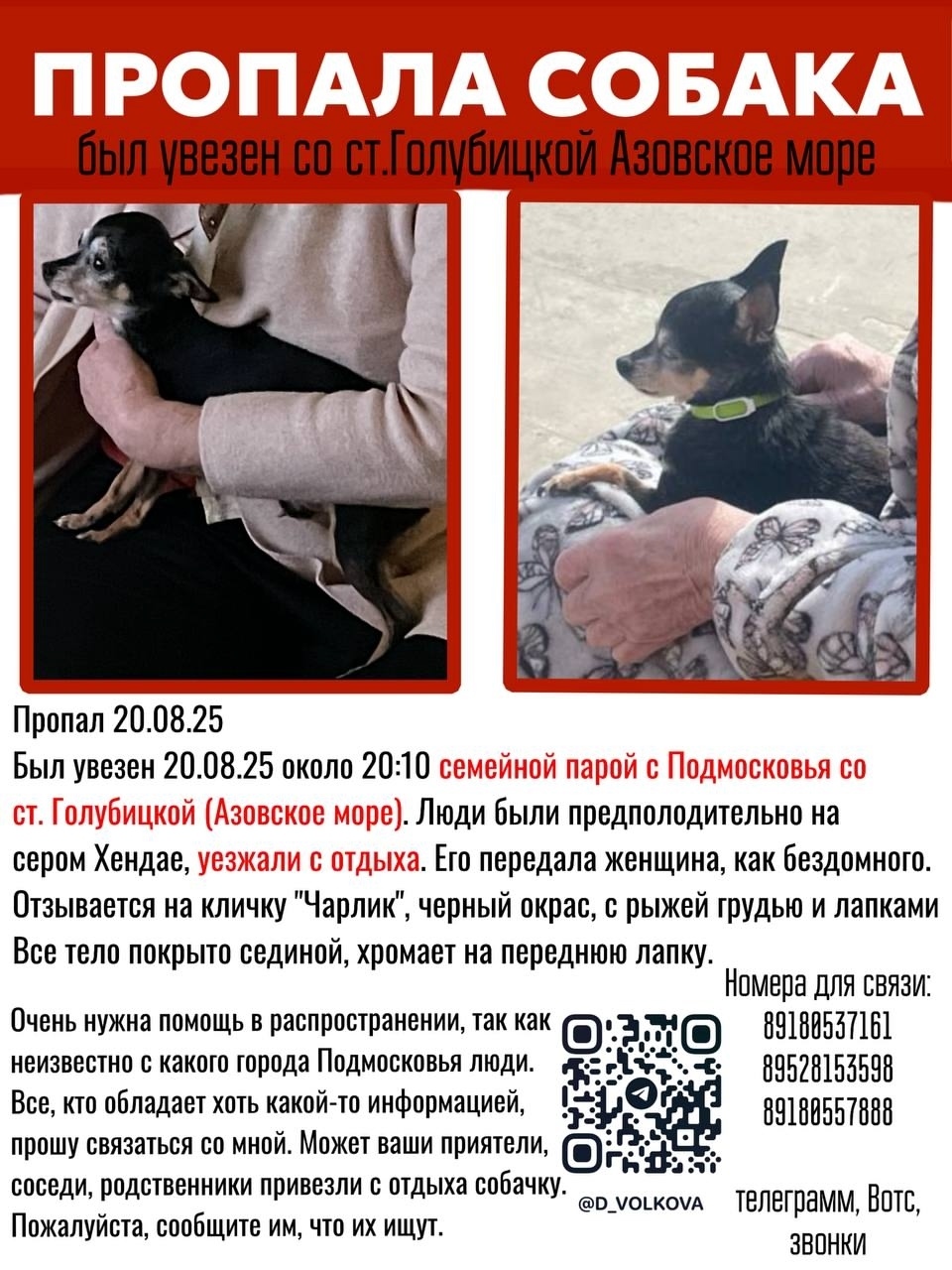 Пропала собака в Солнечногорске — фото объявления