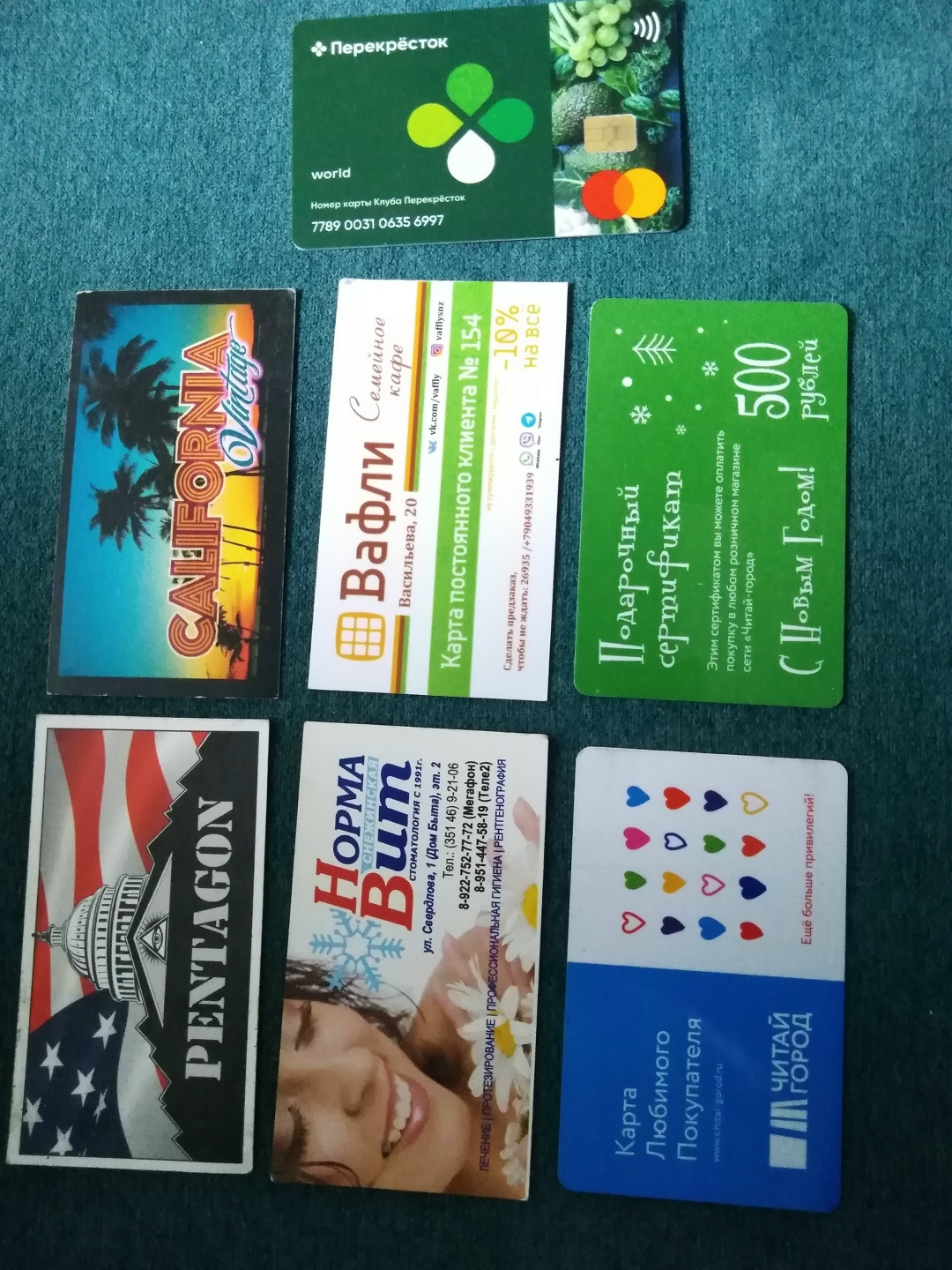 Найдена собака в Снежинске — фото объявления