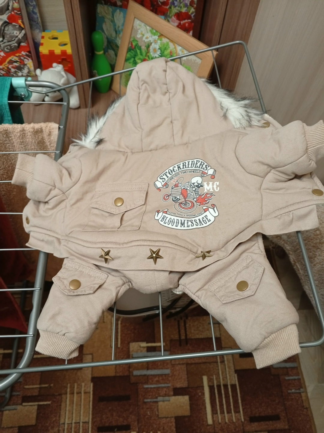 Найдена собака в Снежинске — фото объявления