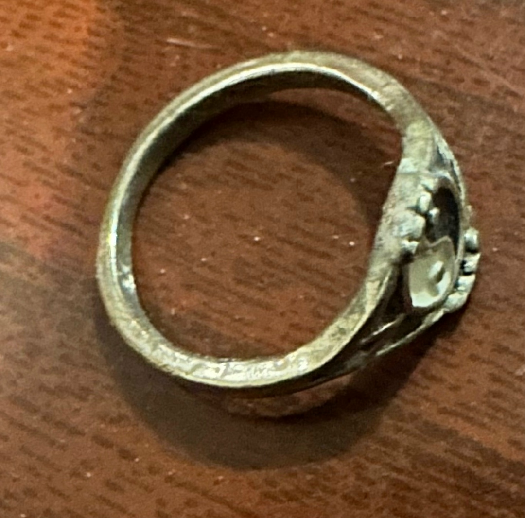 Найдена собака в Снежинске — фото объявления