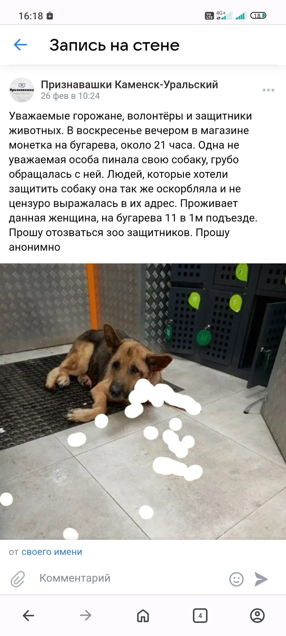 Найдена собака в Каменске-Уральском — фото объявления