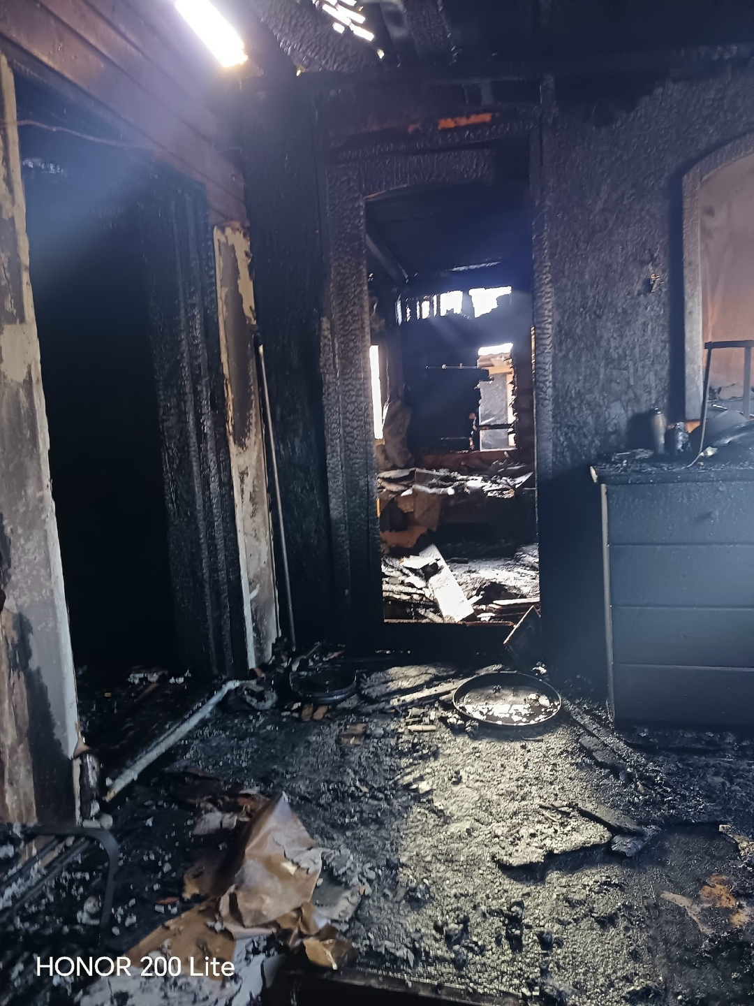 Найдена собака в Ржеве — фото объявления