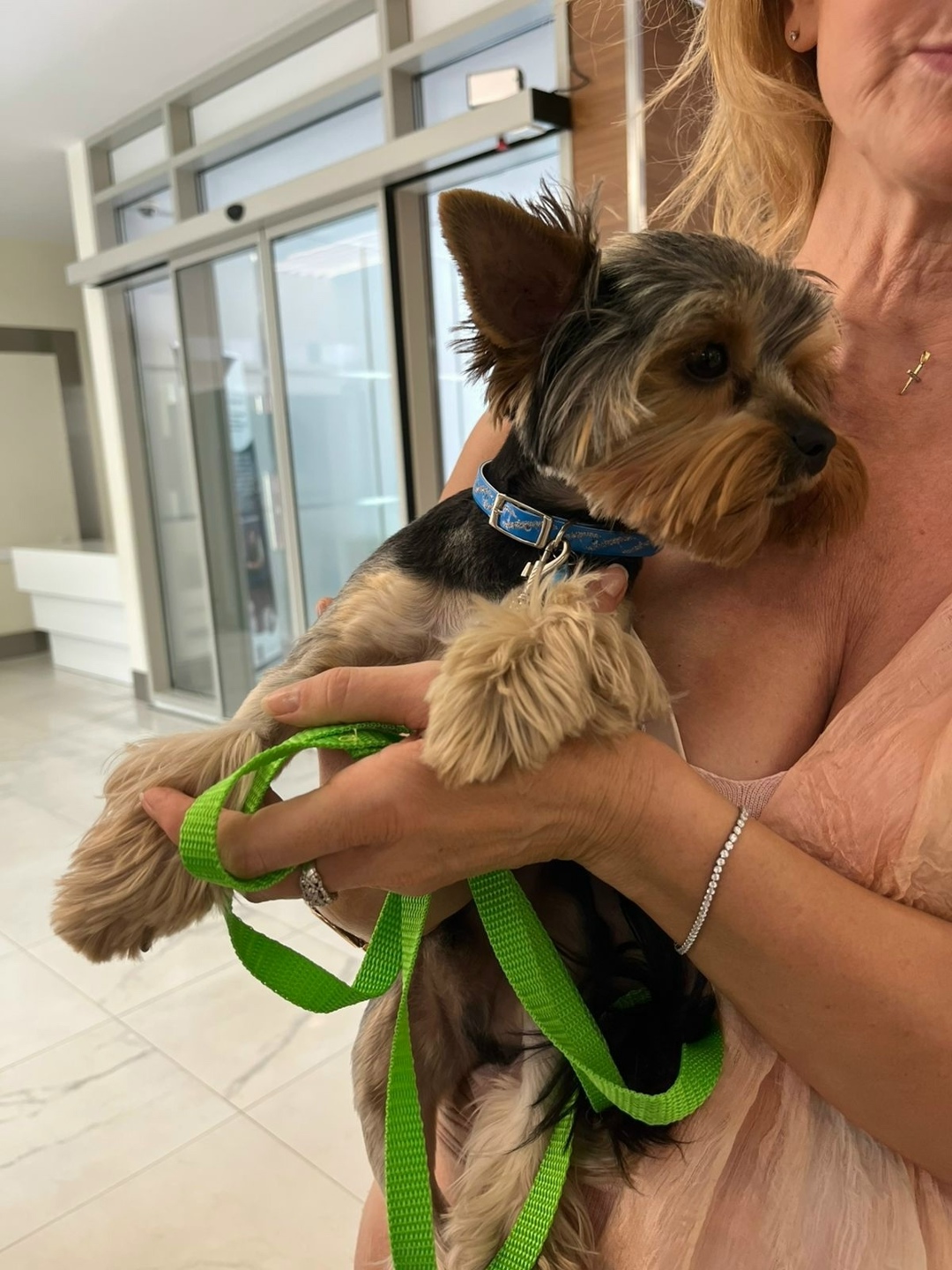 Найдена собака в Геленджике — фото объявления