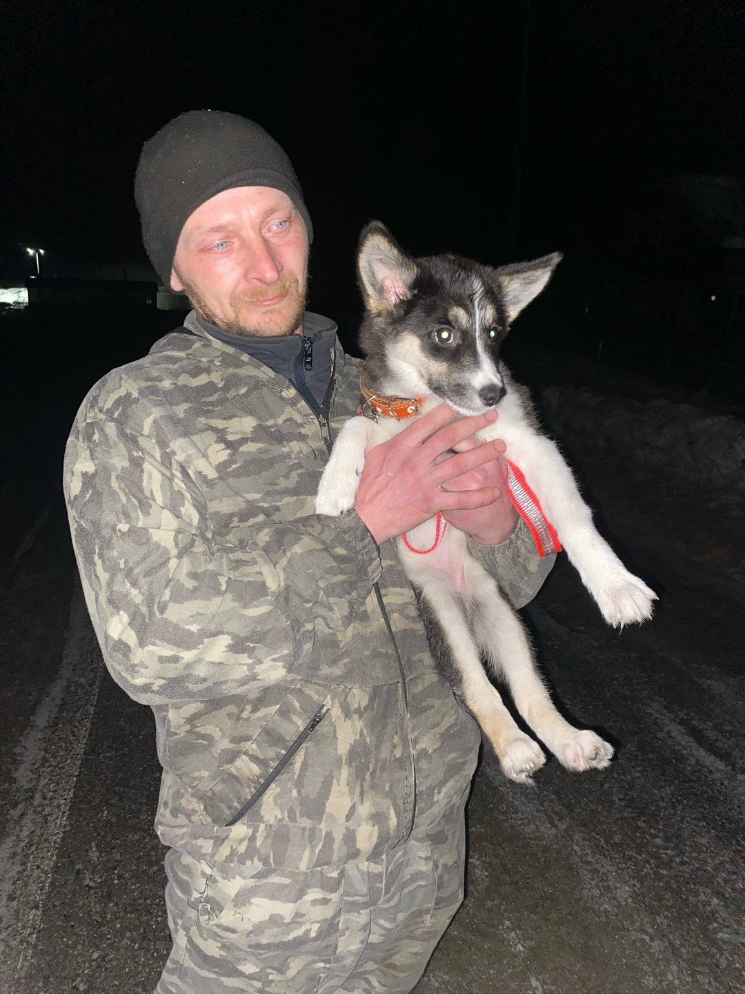 Найдена собака в Ухте — фото объявления