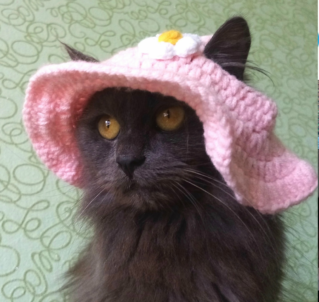 Найдена собака в Златоусте — фото объявления