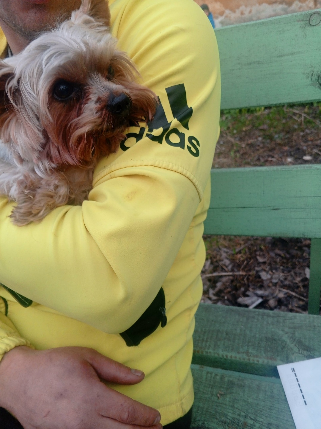 Найдена собака в Златоусте — фото объявления