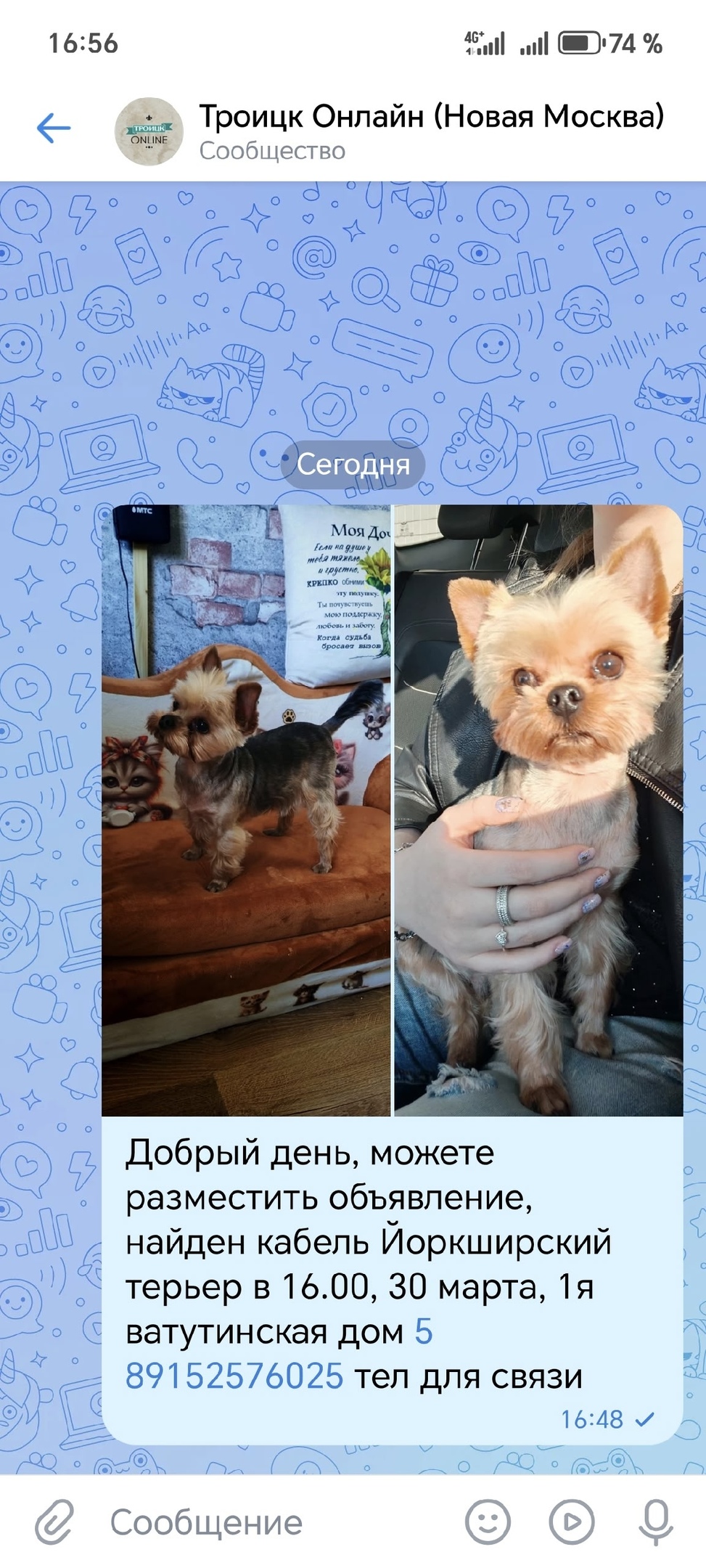 Найдена собака в Троицке — фото объявления