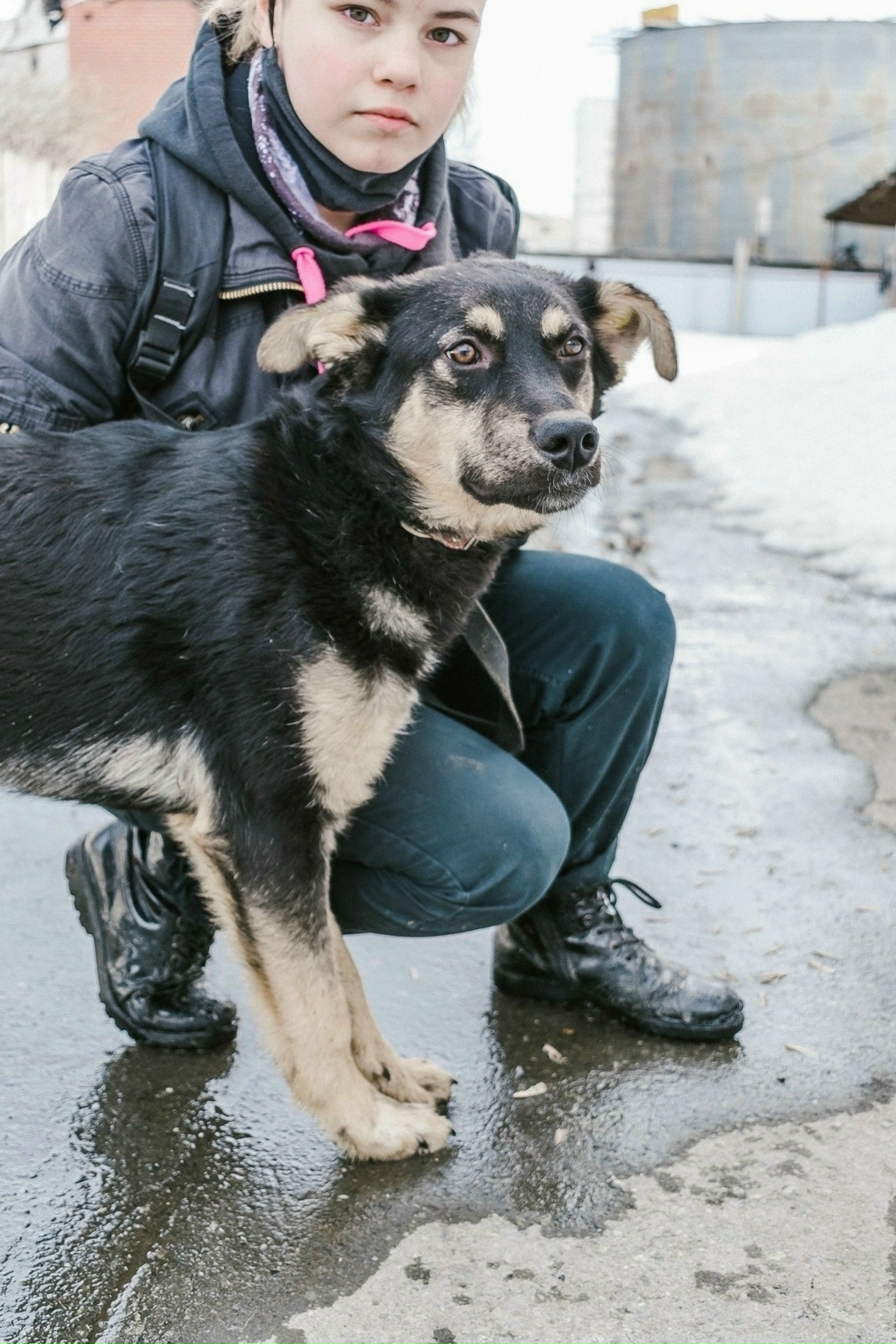 Найдена собака в Екатеринбурге — фото объявления