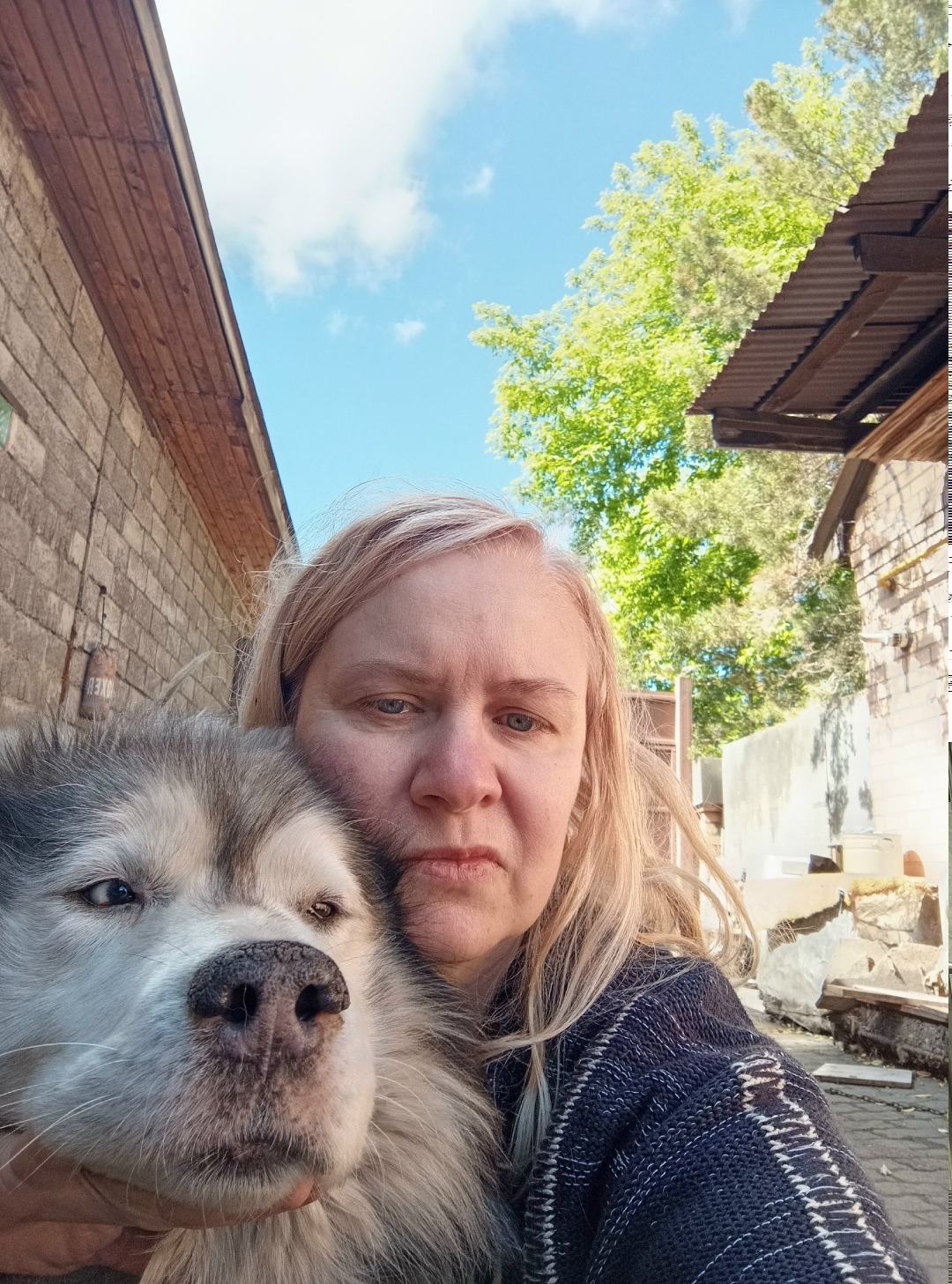 Пропала собака в Екатеринбурге — фото объявления