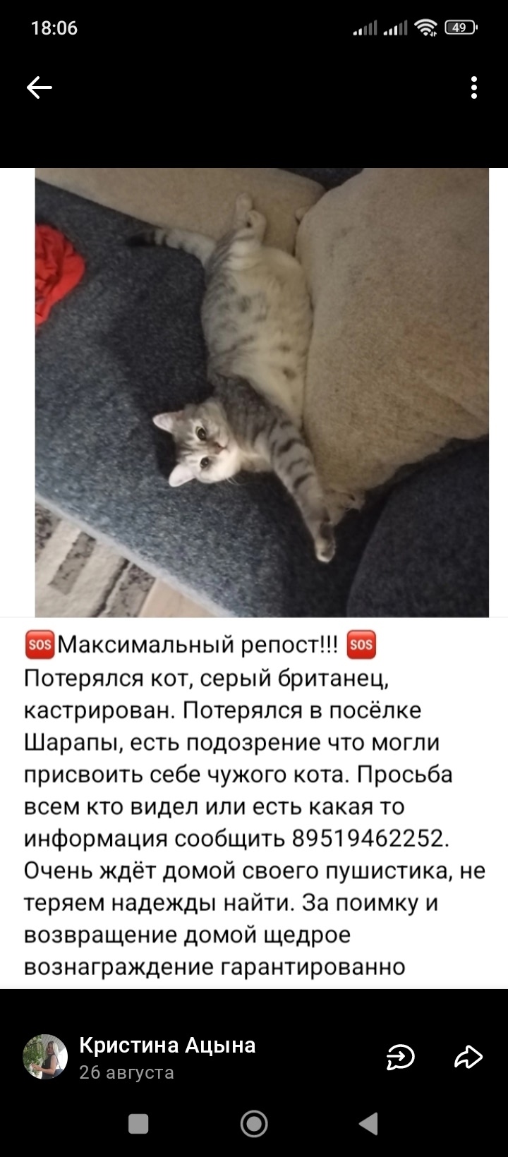 Пропала собака в Кудрове — фото объявления