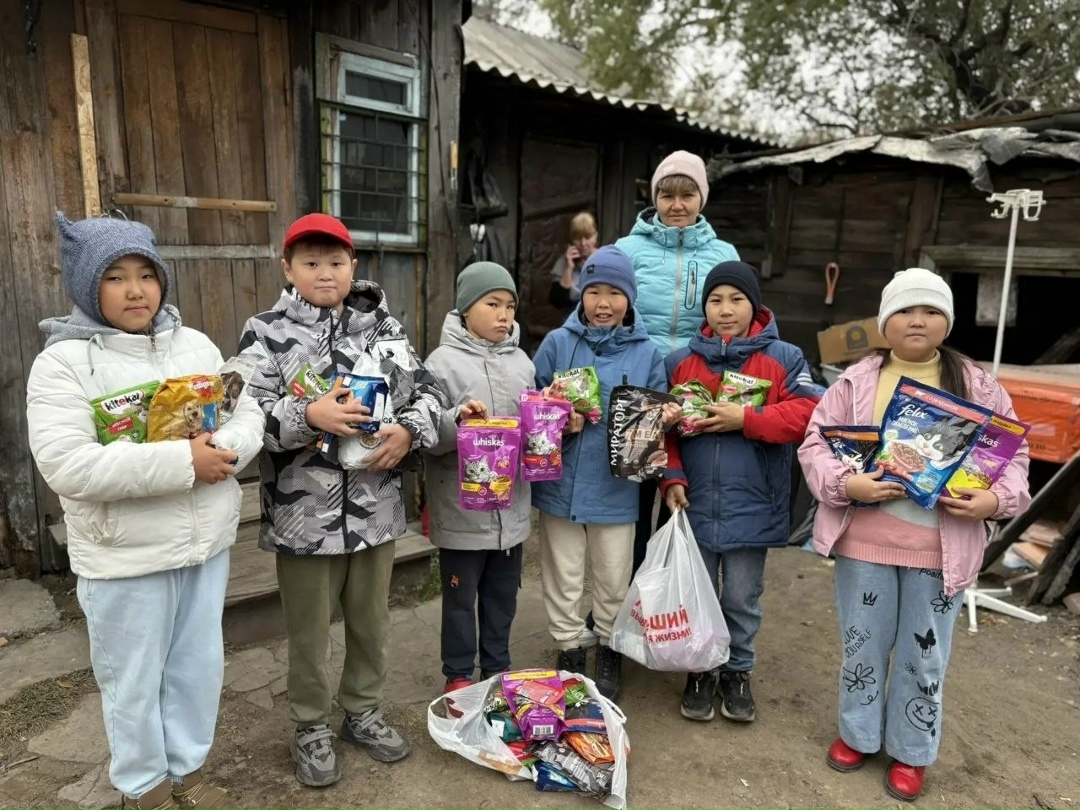 Найдена собака в Домодедове — фото объявления