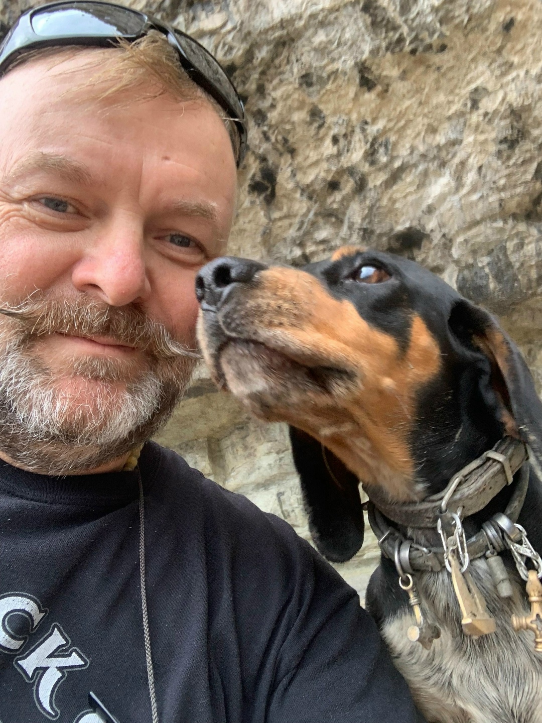 Пропала собака в Майкопе — фото объявления