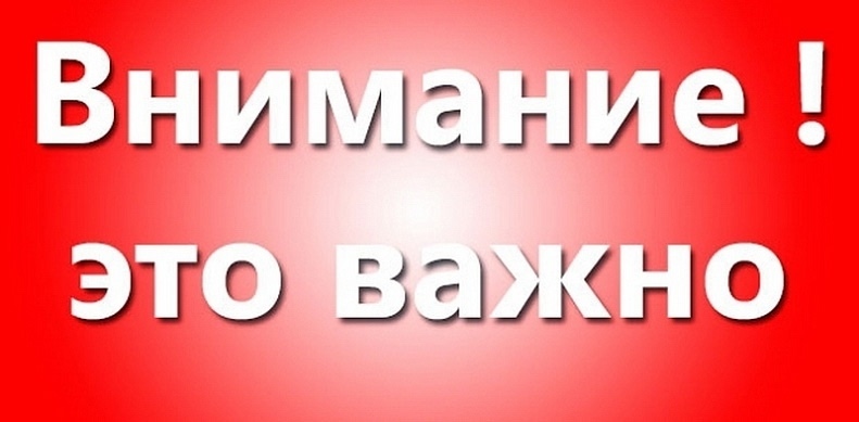 Пропала собака в Сургуте — фото объявления