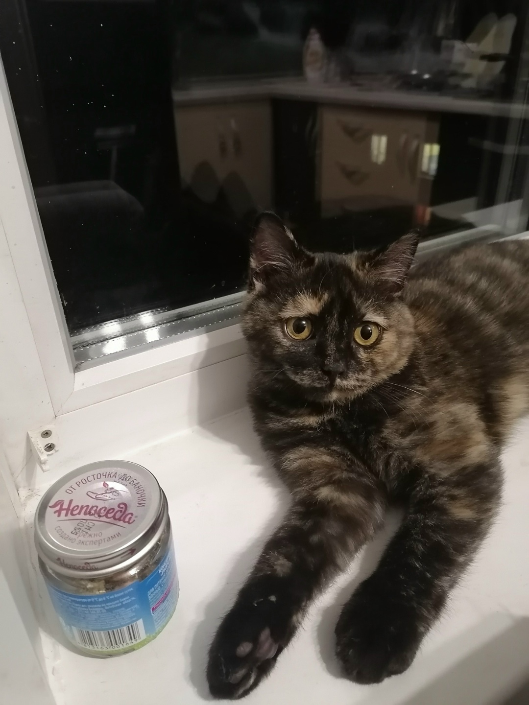 Найдена собака в Бердске — фото объявления