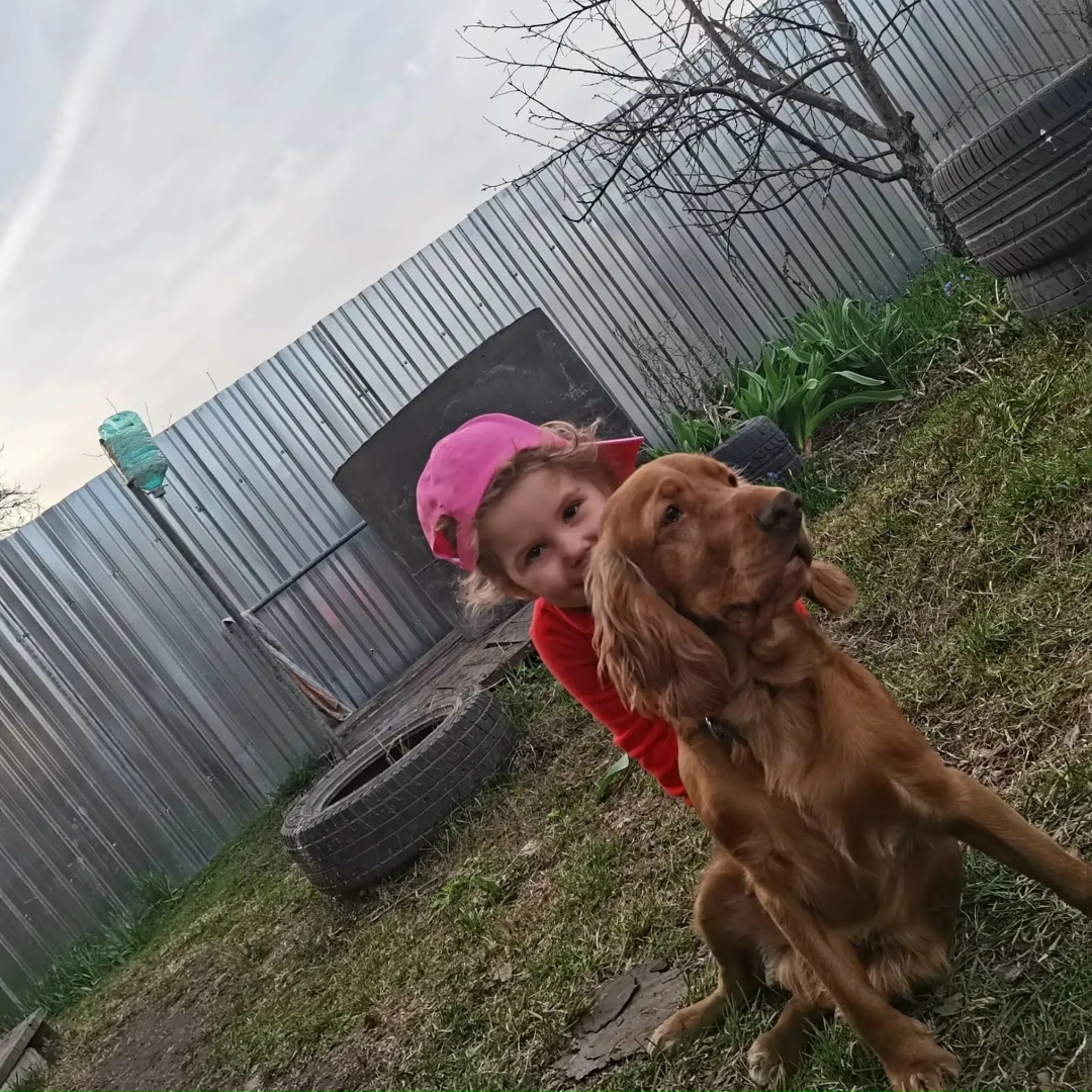 Пропала собака в Петропавловске-Камчатском — фото объявления