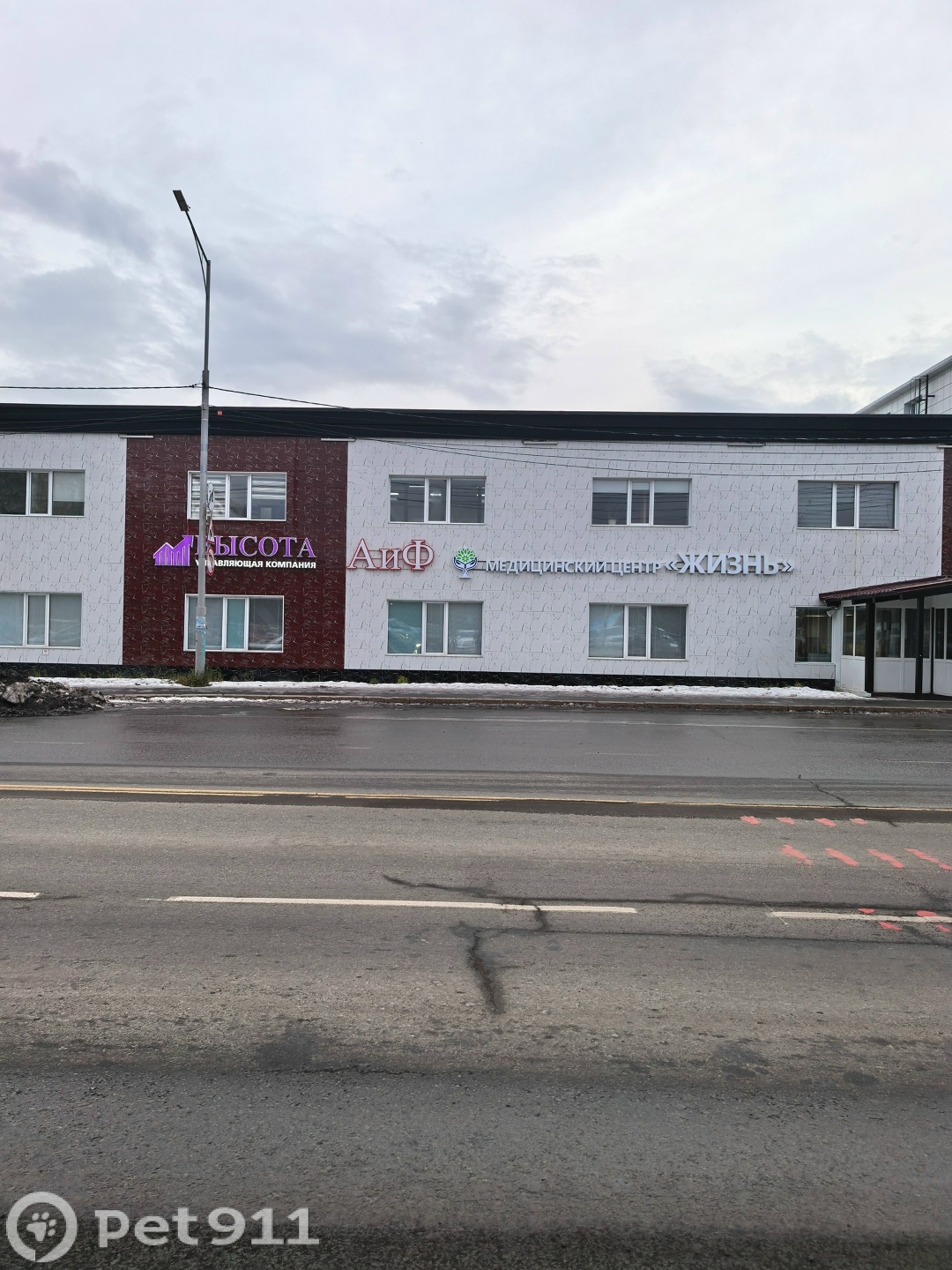 Найдена собака в Петропавловске-Камчатском — фото объявления