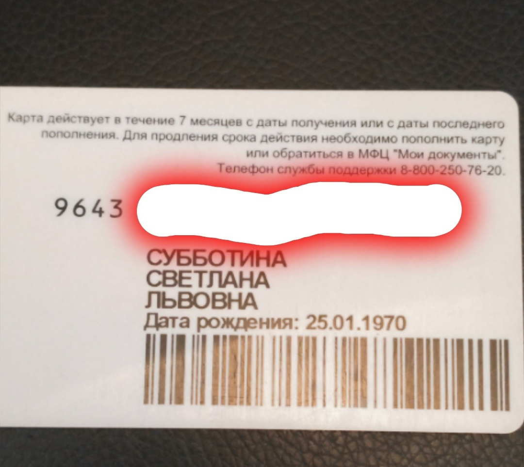 Найдена собака в Рыбинске — фото объявления