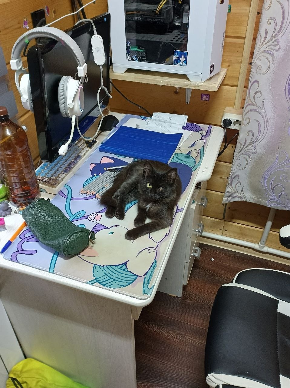 Пропала кошка в Рыбинске — фото объявления