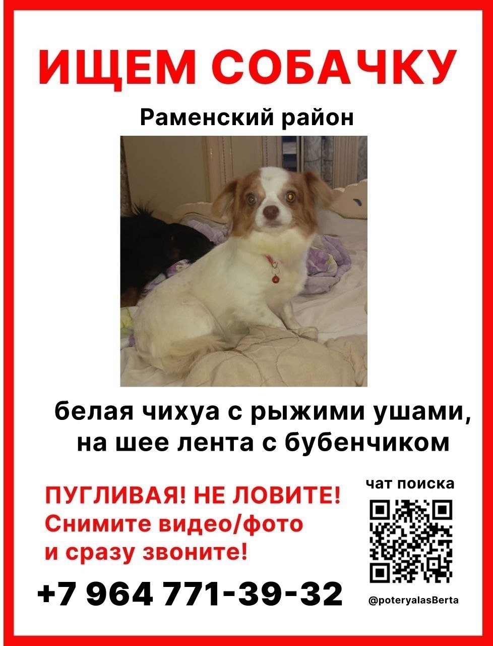 Найдена собака в Раменском — фото объявления