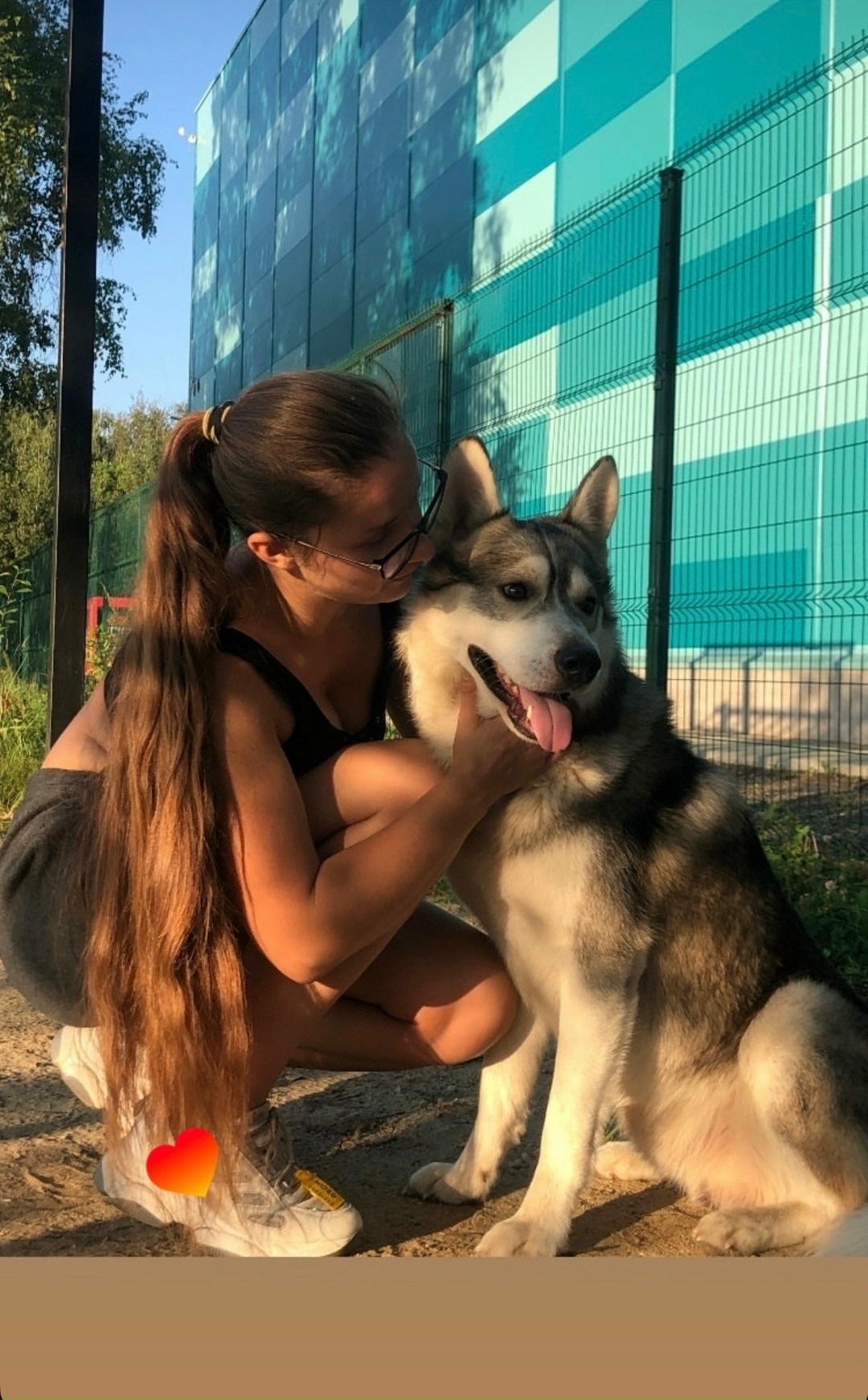 Пропала собака в Раменском — фото объявления