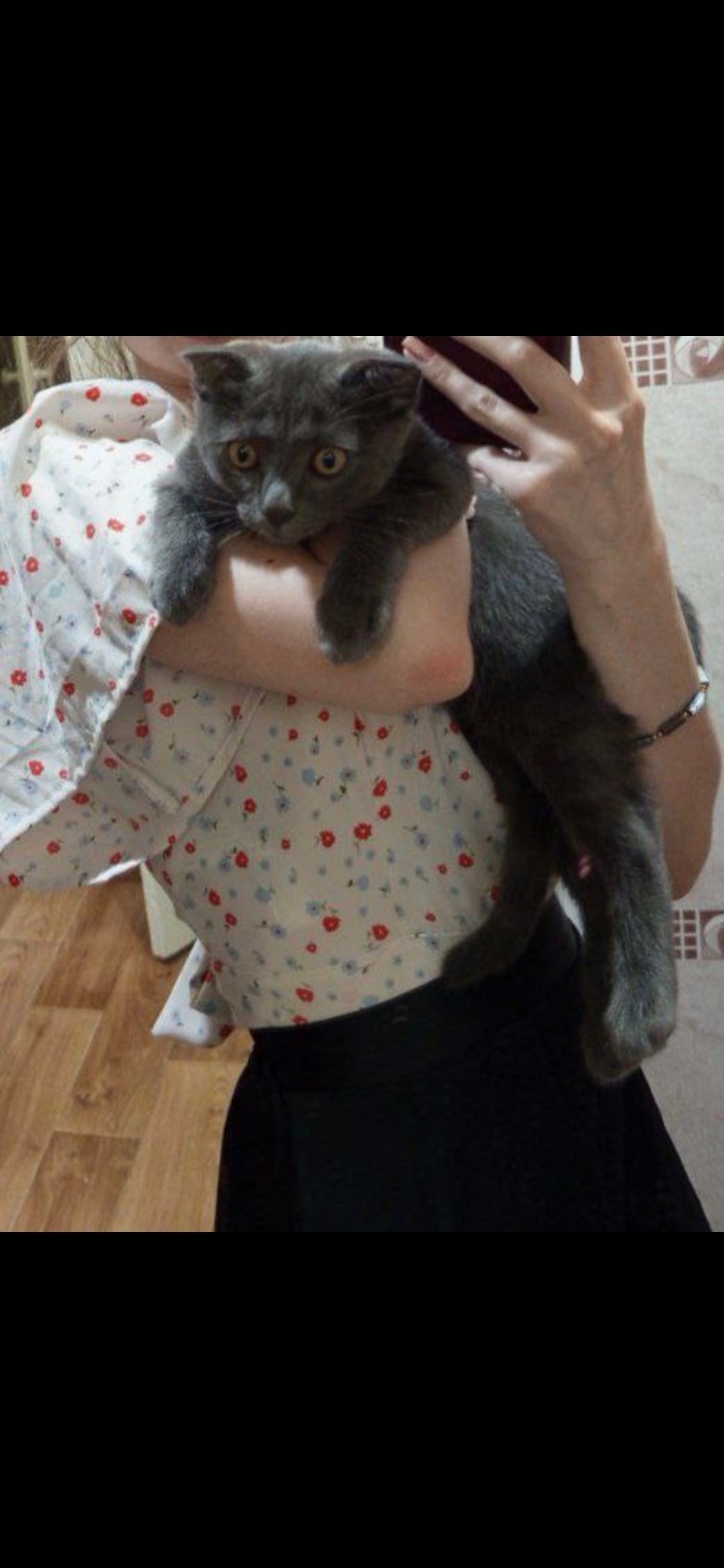 Пропала кошка в Сызрани — фото объявления