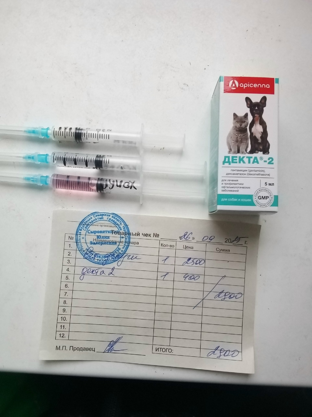 Найдена кошка в Сызрани — фото объявления