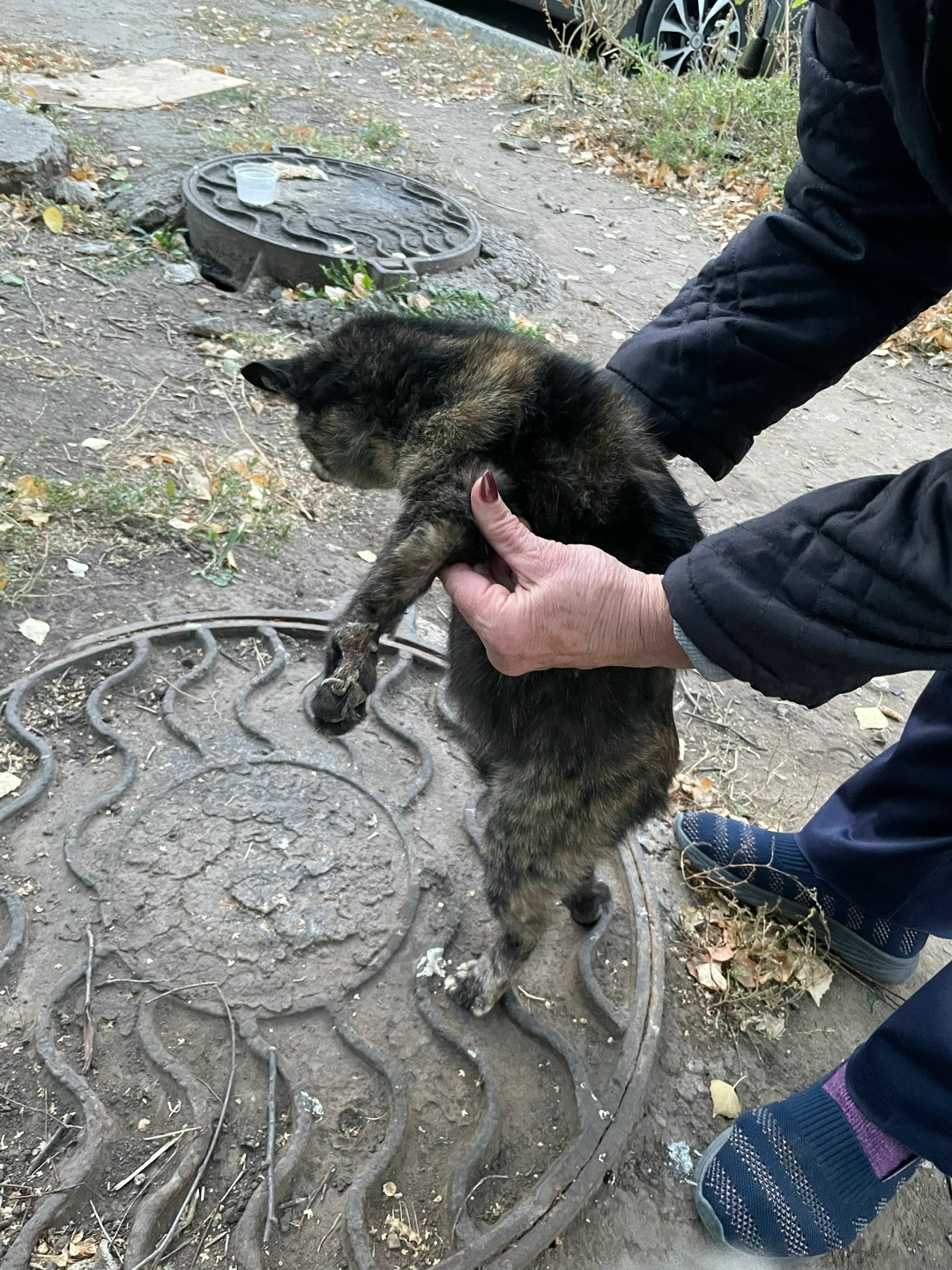Найдена собака в Сызрани — фото объявления