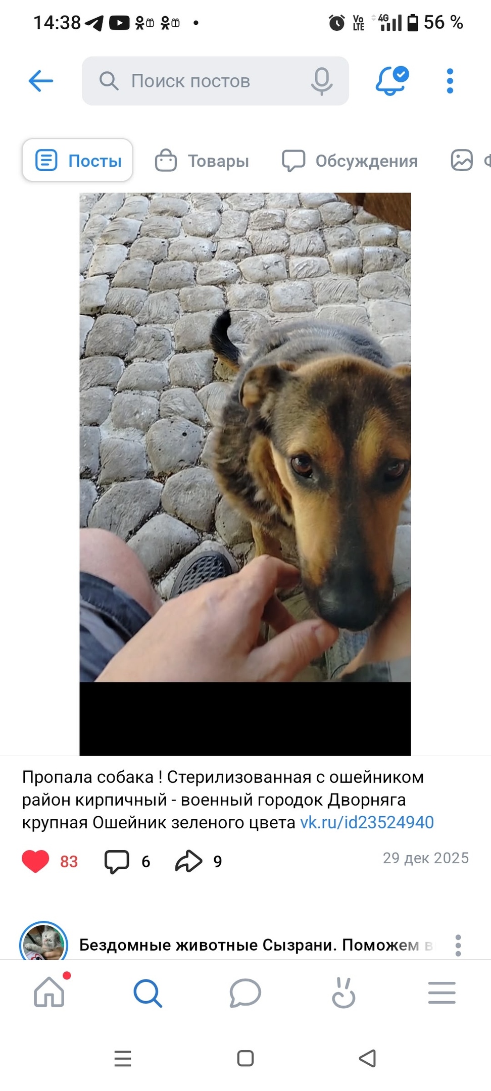 Пропала собака в Сызрани — фото объявления