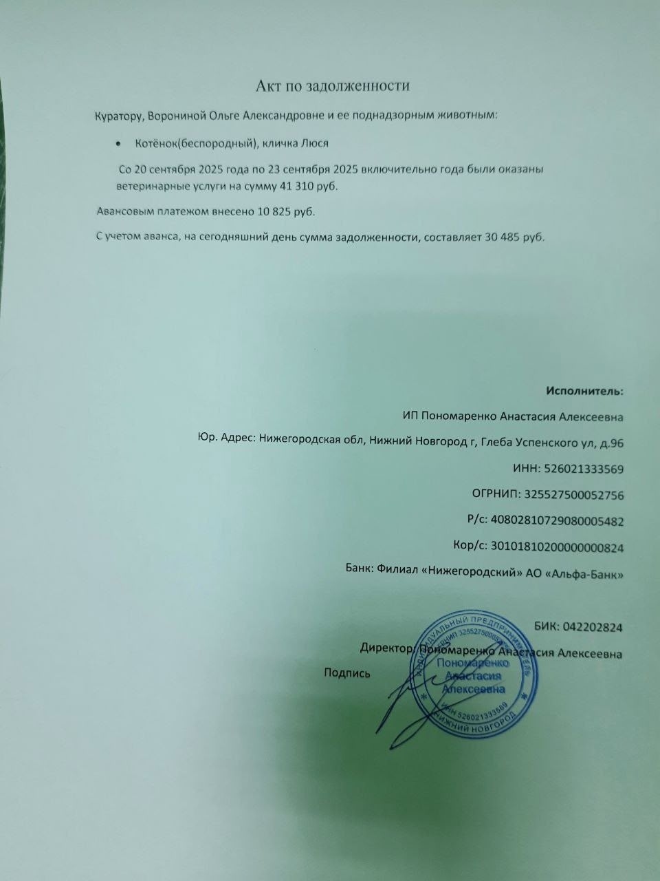 Найдена кошка в Дзержинске — фото объявления