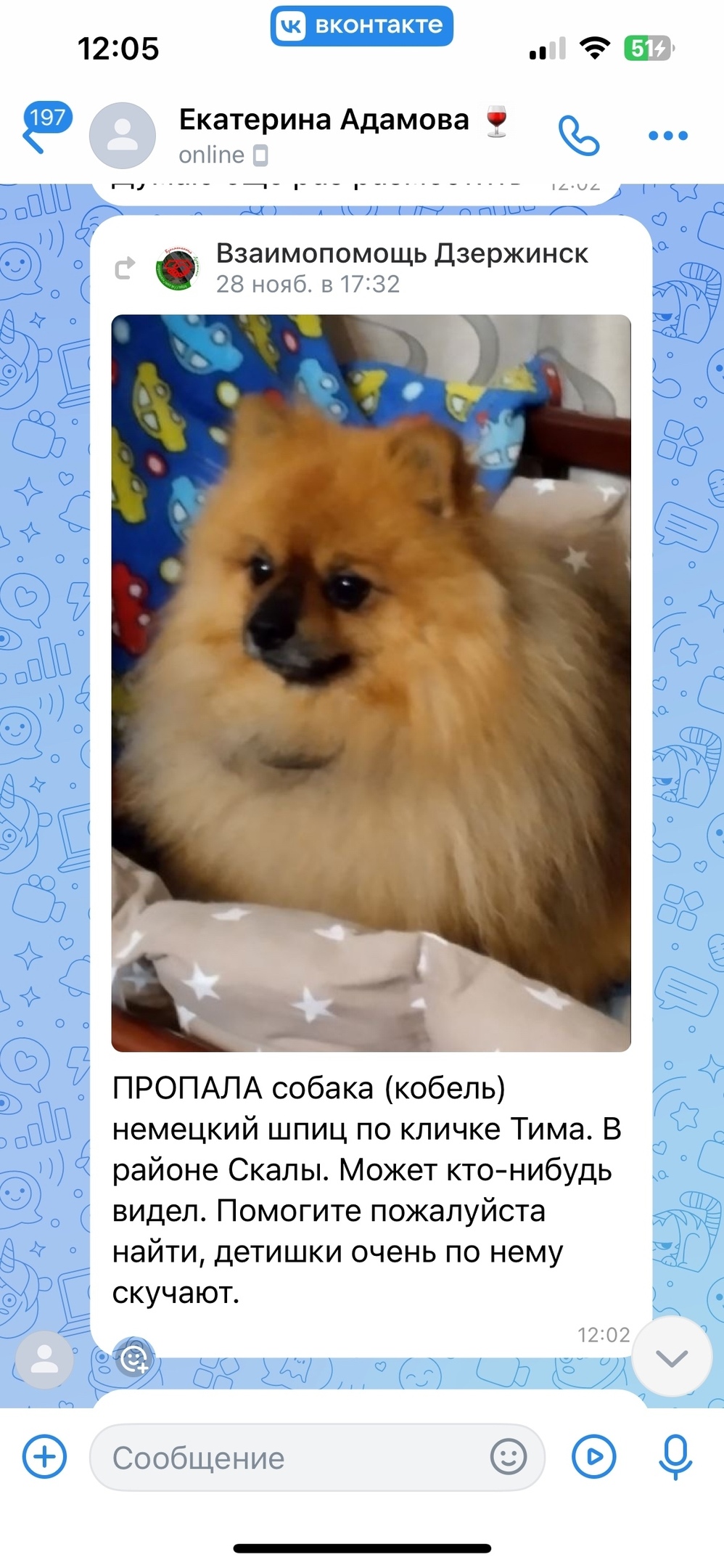 Пропала собака в Дзержинске — фото объявления