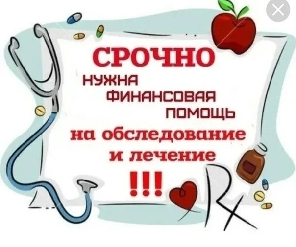 Найдена собака в Дзержинске — фото объявления