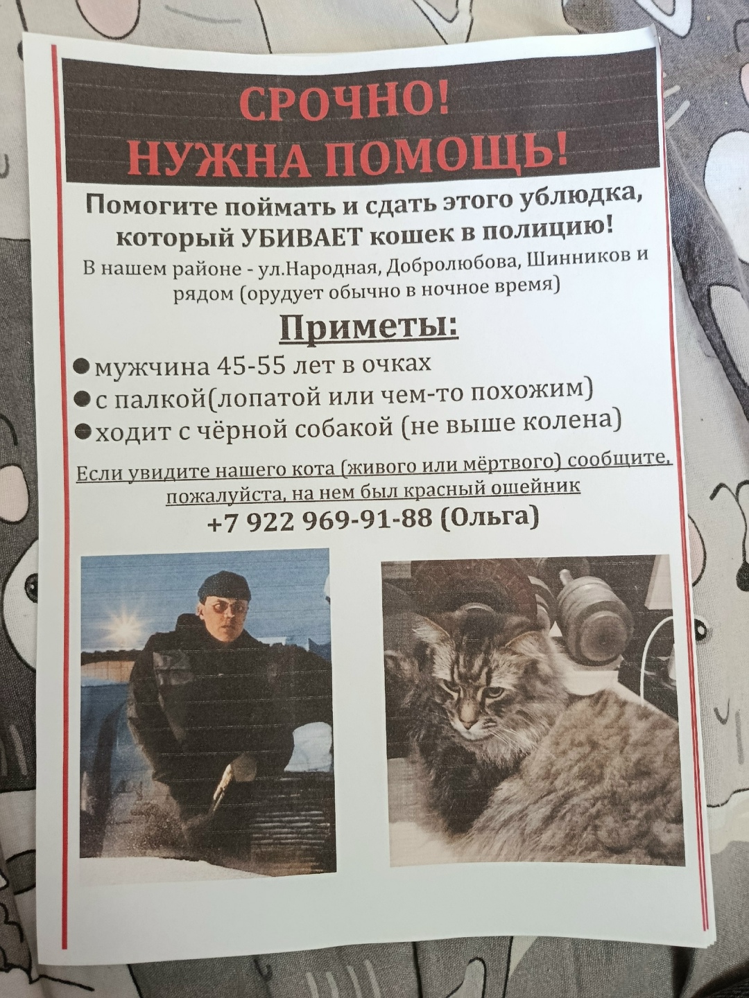 Найдена собака в Кирове — фото объявления