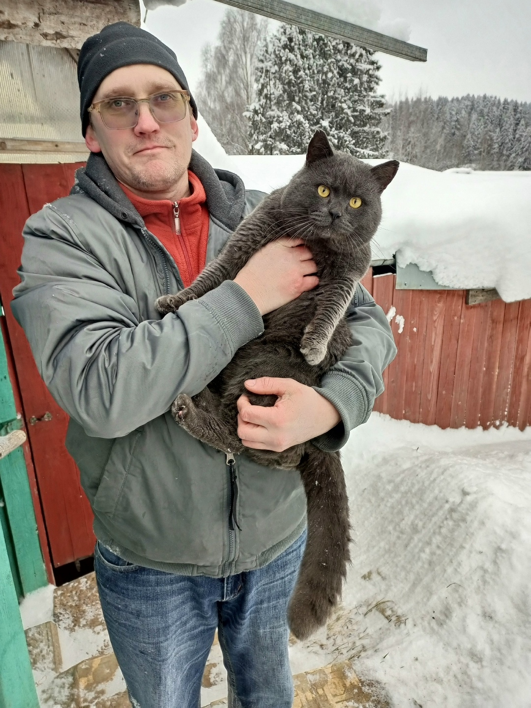 Пропала кошка в Кирове — фото объявления