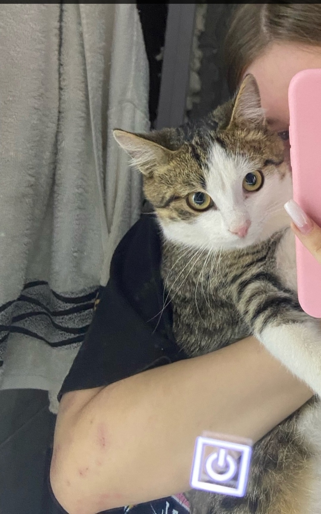 Пропала кошка в Магнитогорске — фото объявления