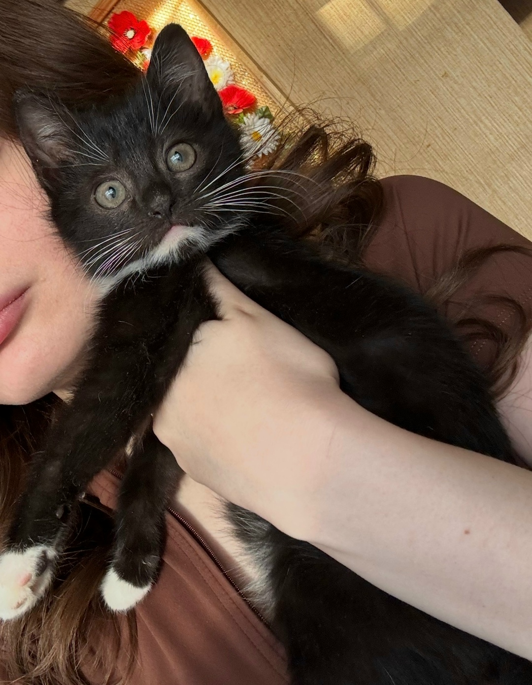 Пропала собака в Курске — фото объявления