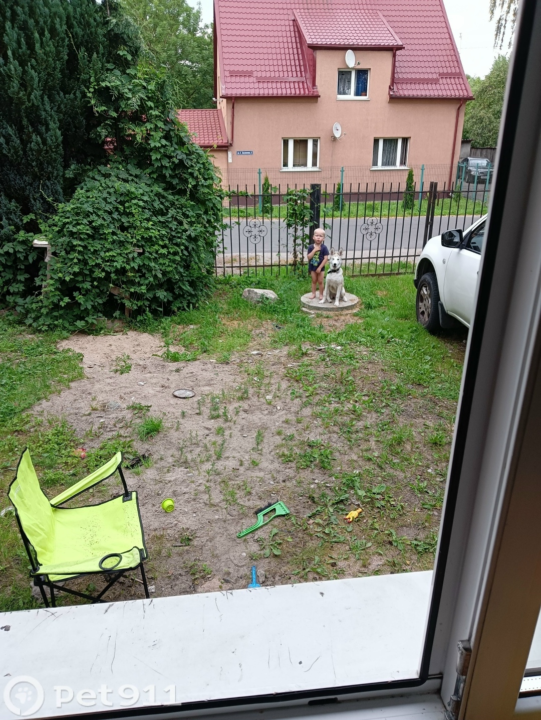 Пропала собака в Калининграде — фото объявления