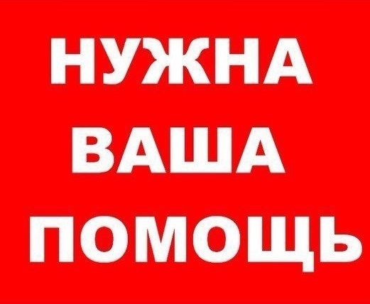Найдена собака в Брянске — фото объявления