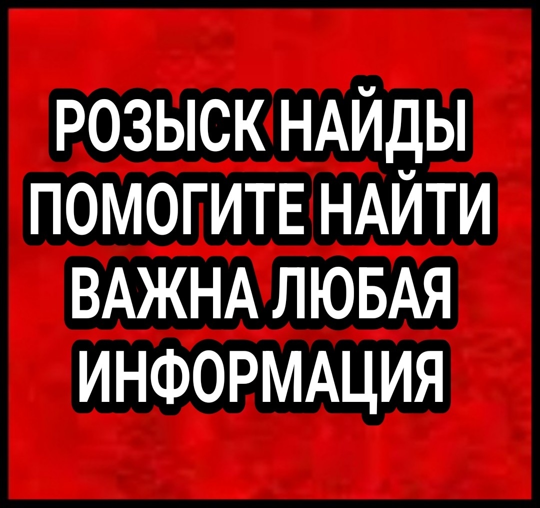 Найдена собака в Мурманске — фото объявления
