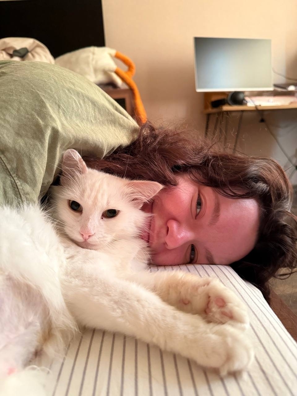 Найдена собака в Энгельсе — фото объявления