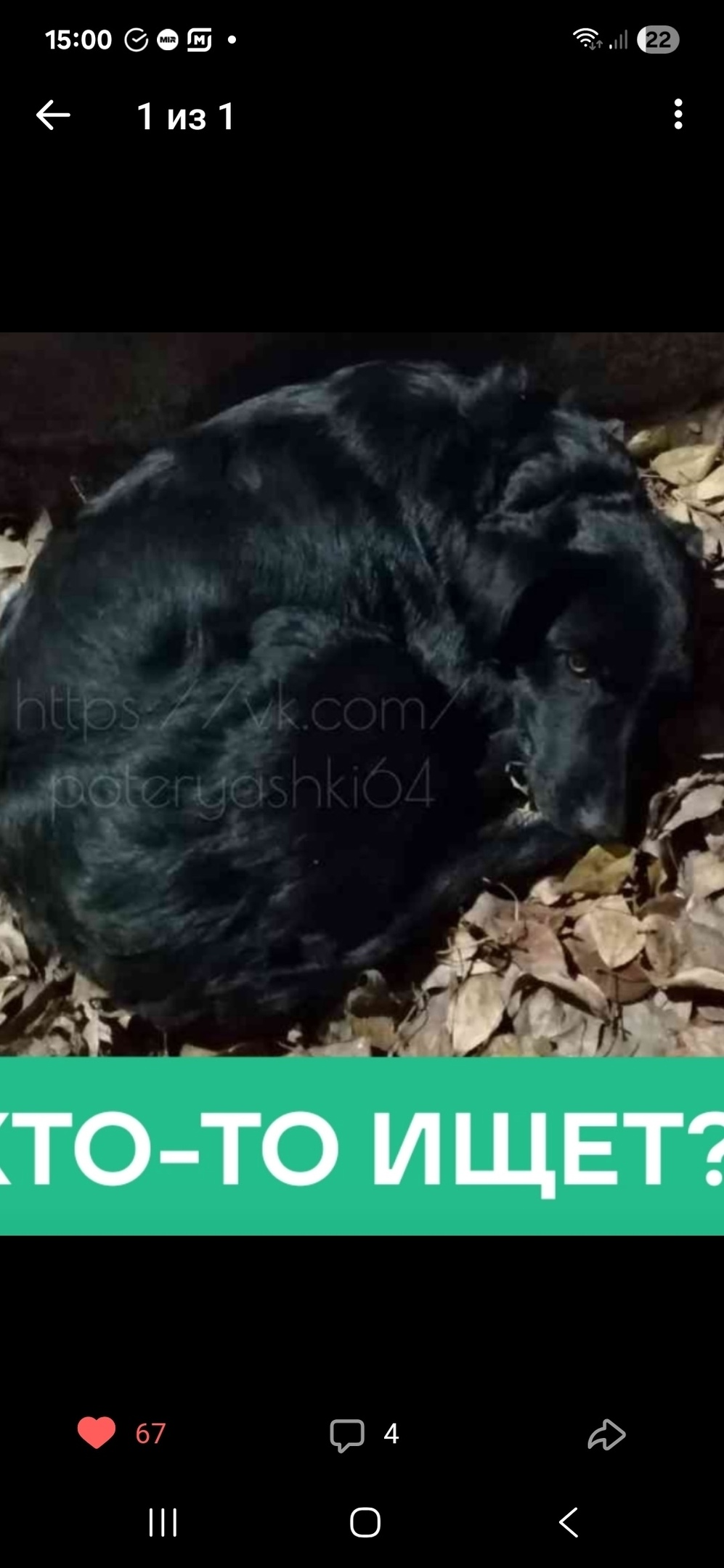 Пропала собака в Энгельсе — фото объявления