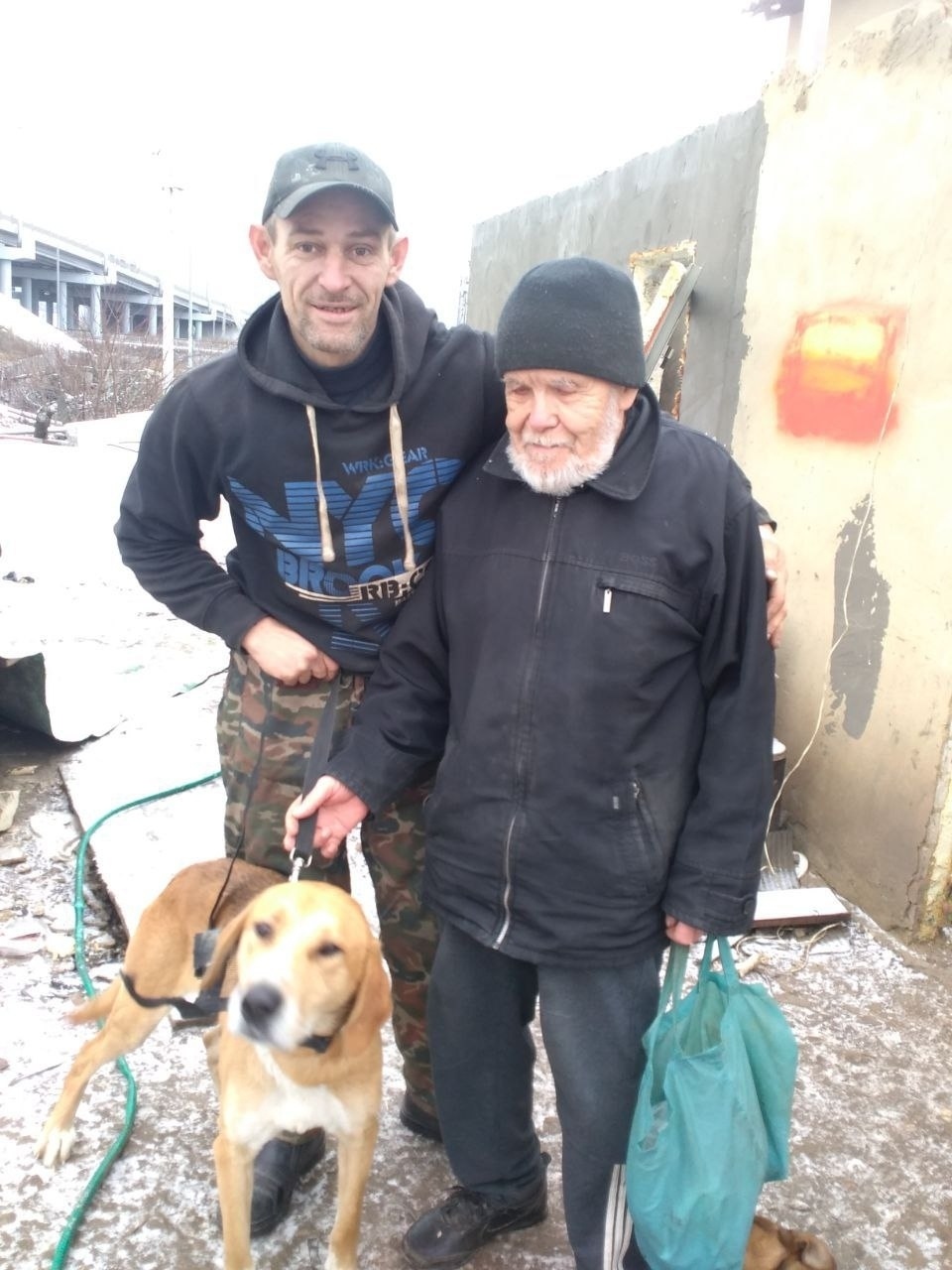 Пропала собака в Энгельсе — фото объявления